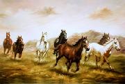 unknow artist Horses 03 Germany oil painting artist